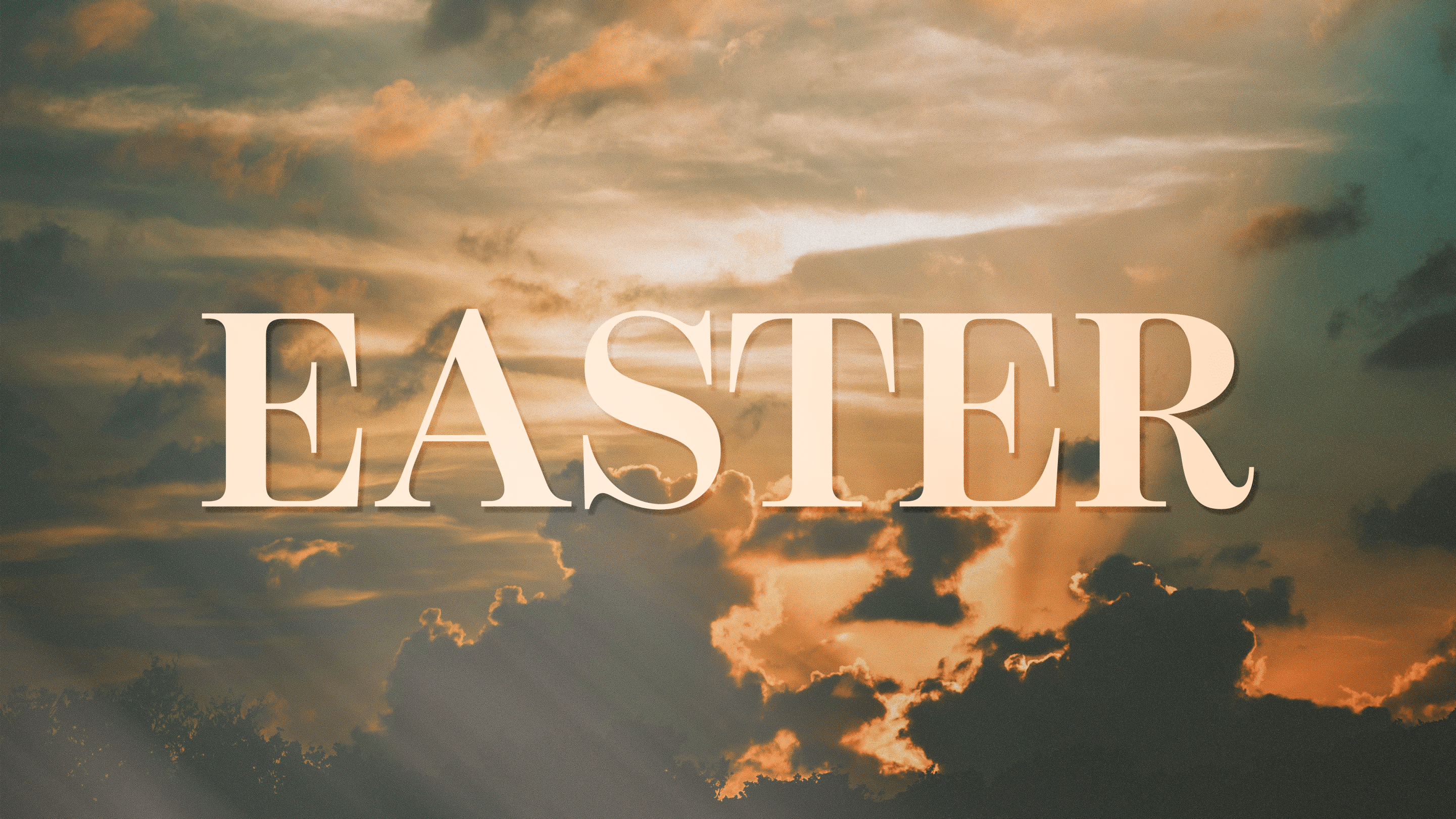 people laughing on a beach